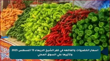 أسعار الخضروات والفاكهة في كفر الشيخ الأربعاء 13 أغسطس 2025 وتأثيرها على السوق المحلي